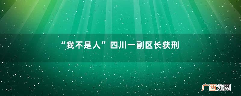 “我不是人”四川一副区长获刑6年：看妻子卖房卖车，我很愧疚