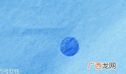 星纯是什么牌子？
