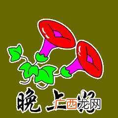 自己晚上一个人孤独的时候怎么办（适合一个人