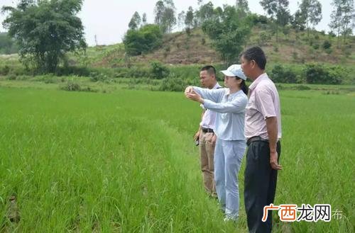 家养什么鱼最容易繁殖 ?h鱼养殖场