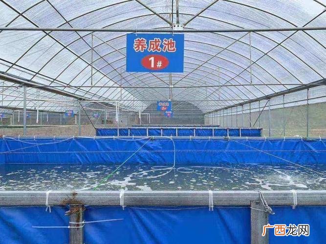 生态养殖方案 赣州生态养殖