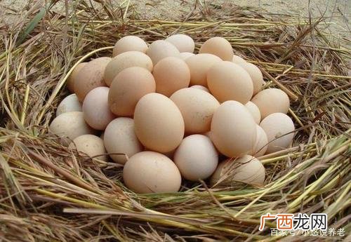 湖北十堰蛋鸡养殖大县有哪些 湖北蛋鸡养殖大县
