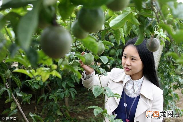 农村开网店卖什么赚钱 在淘宝上怎么开网店卖东西