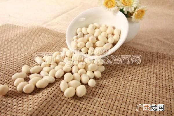 代理什么产品最赚钱 如何找代理商拿货