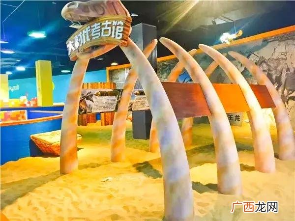 泸州最值得去的景点,泸州儿童游乐场在哪里