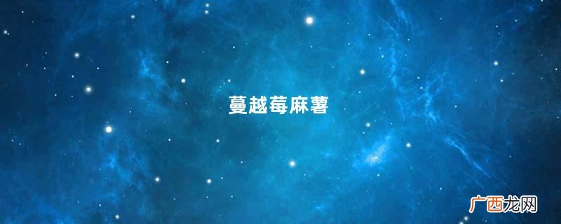 蔓越莓麻薯