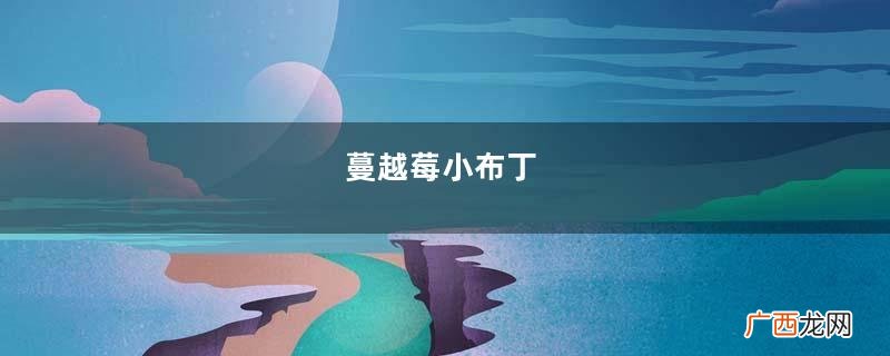 蔓越莓小布丁
