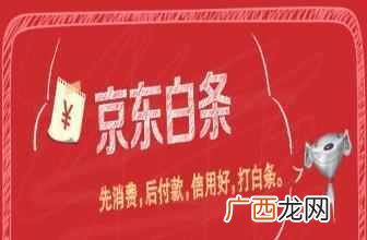 京东白条支付是什么意思（教你如何在pos机上使