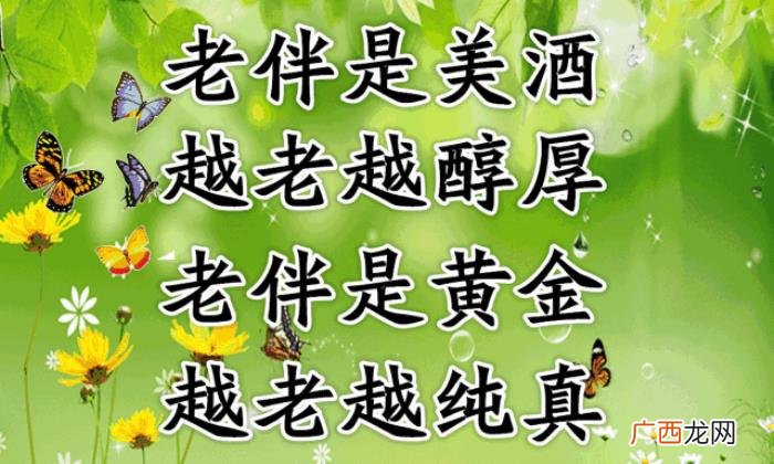 恩爱夫妻最美的风景是不离不弃 相爱不离不弃句子