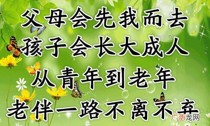 恩爱夫妻最美的风景是不离不弃 相爱不离不弃句子
