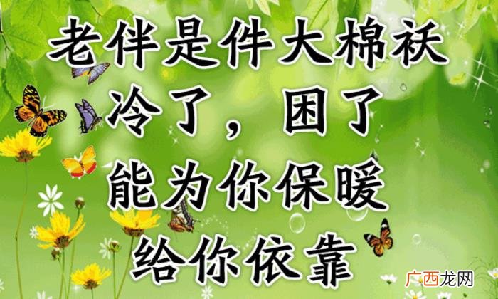 恩爱夫妻最美的风景是不离不弃 相爱不离不弃句子