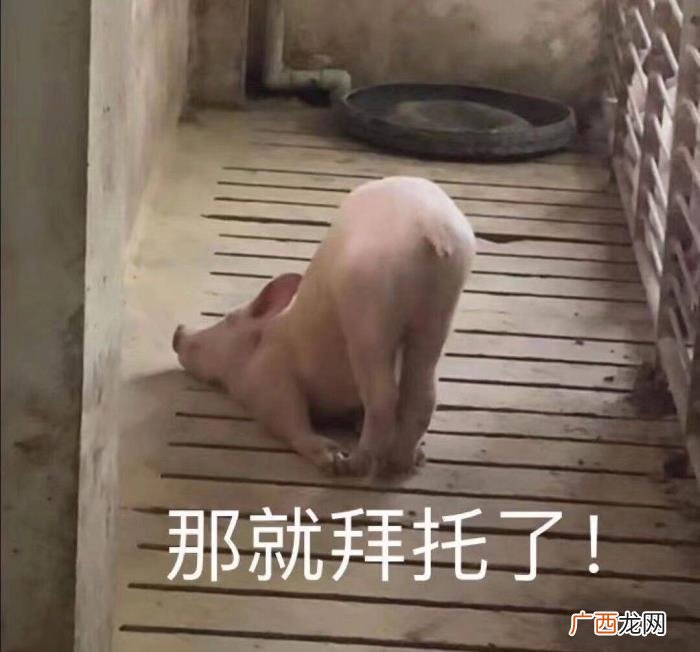 工作之余给你们点赞 点赞的图片