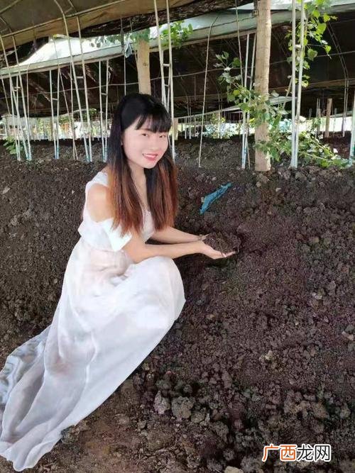 眉山富农肉牛养殖场 眉山养殖场地址