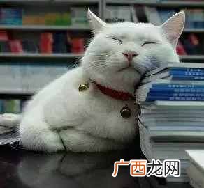 最近经常犯困是怎么回事（女人老感觉疲乏想睡