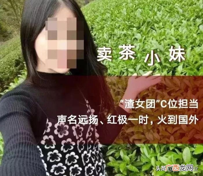 渣女套路聊天，微信上的各种美女陷阱套路