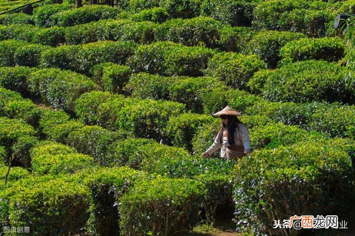 渣女套路聊天，微信上的各种美女陷阱套路