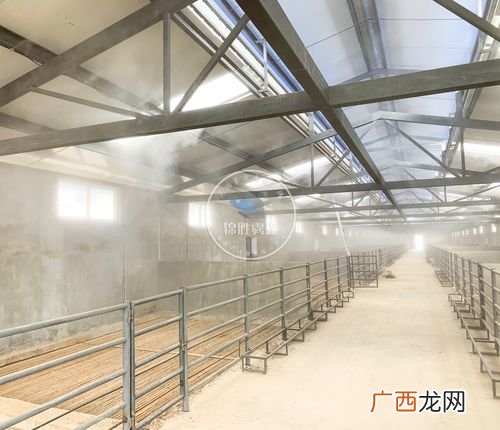 养殖业最大的难题 山东典型的无抗养殖案例