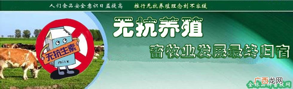 养殖业最大的难题 山东典型的无抗养殖案例