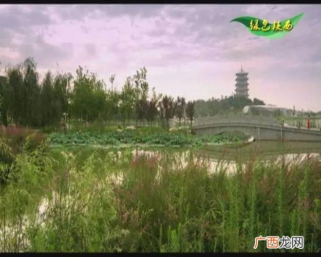 陕西凤县林麝养殖电话 陕西林下养殖