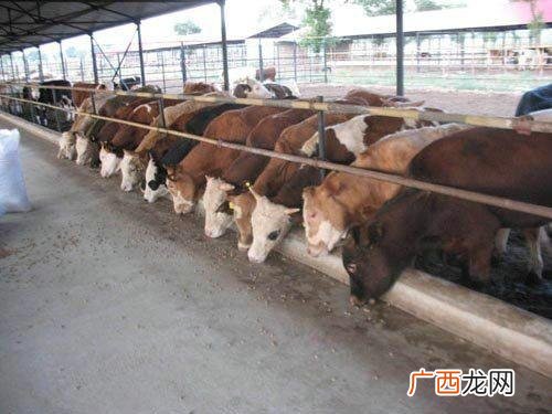 湖北随州能直达的地方 湖北随州能养殖什么
