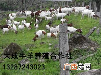 湖北随州能直达的地方 湖北随州能养殖什么