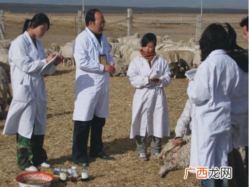 如何成为一名兽医 学兽医开养殖场