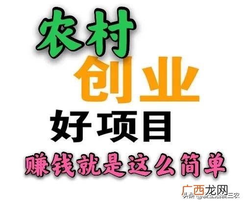 30个农村办厂项目,开厂做什么项目好