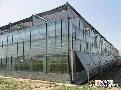 30个农村办厂项目,开厂做什么项目好