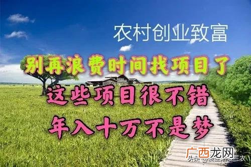 30个农村办厂项目,开厂做什么项目好
