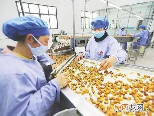 30个农村办厂项目,开厂做什么项目好