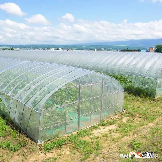30个农村办厂项目,开厂做什么项目好