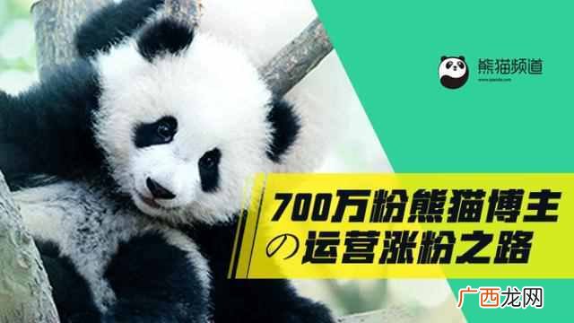 如何建立一个新的微博账号（微博内容如何转移