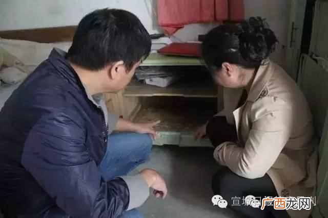 怎样分辨蚁王和蚁后 蚁王蚁后是怎么产生的