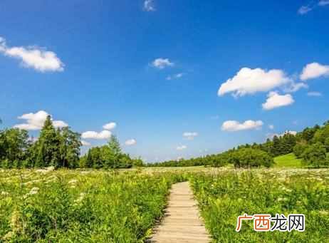 什么是真正的苦命人 苦命人怎么改变命运