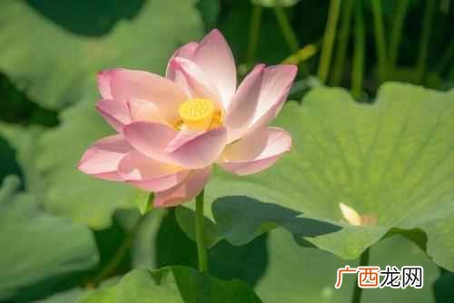 什么是真正的苦命人 苦命人怎么改变命运