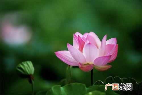 什么是真正的苦命人 苦命人怎么改变命运