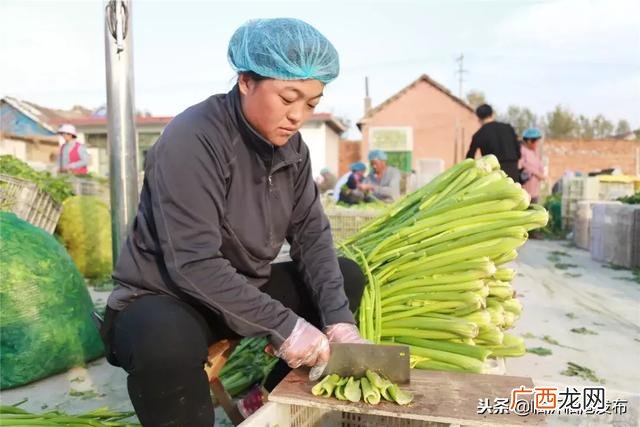 加工网 临沂在家手工活