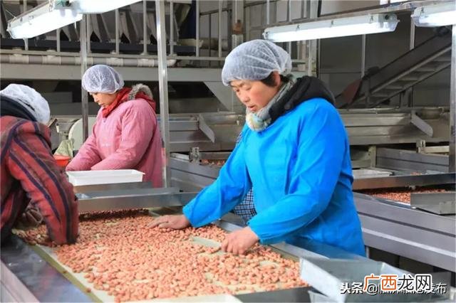 加工网 临沂在家手工活