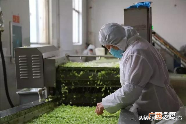 加工网 临沂在家手工活