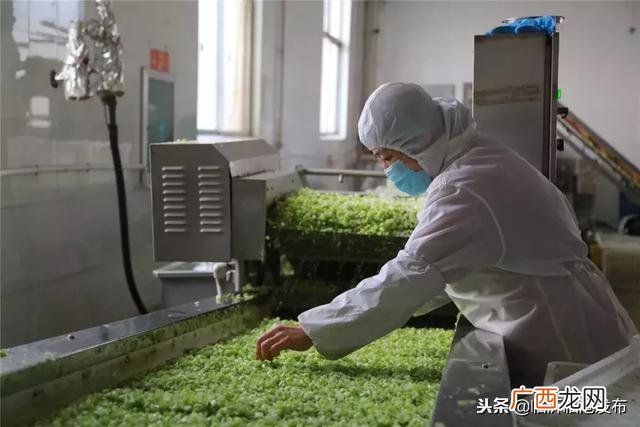 加工网 临沂在家手工活