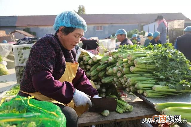 加工网 临沂在家手工活