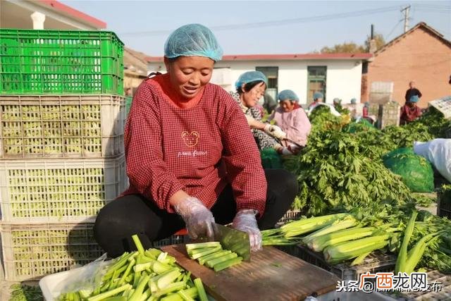 加工网 临沂在家手工活