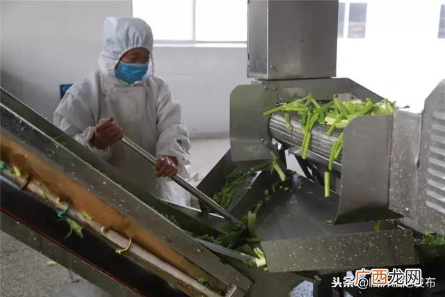 加工网 临沂在家手工活