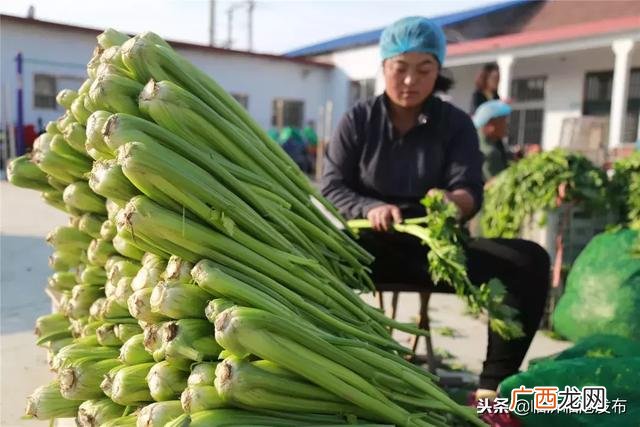 加工网 临沂在家手工活