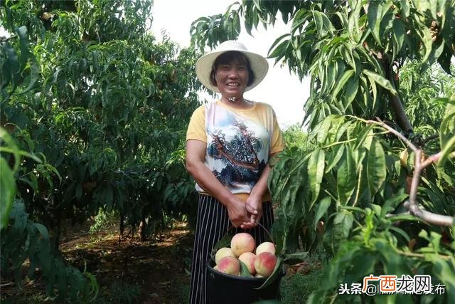 加工网 临沂在家手工活