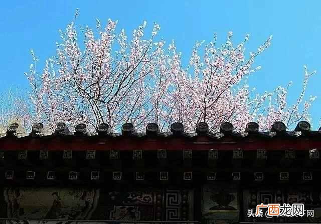 春夏秋冬怎么分月份农历（农历二十四节气是什