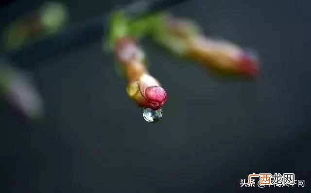 春夏秋冬怎么分月份农历（农历二十四节气是什