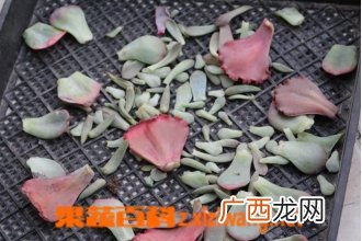 多肉叶片的清理与枯叶处理