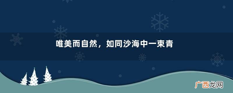 唯美而自然，如同沙海中一束青白之花