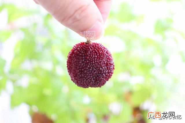 吃杨梅怎么洗才干净（吃了没洗干净的杨梅会怎